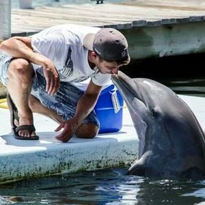 Meet your Posher, Wade